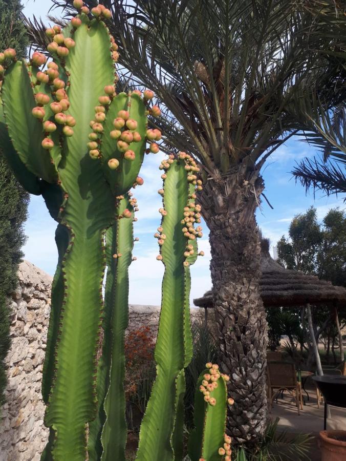 La Maison D'Helene Essaouira Al Ghar Eksteriør billede